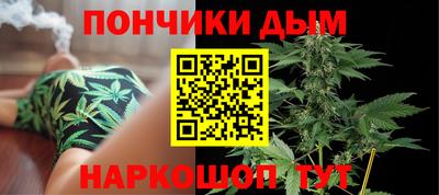 амф Новодвинск